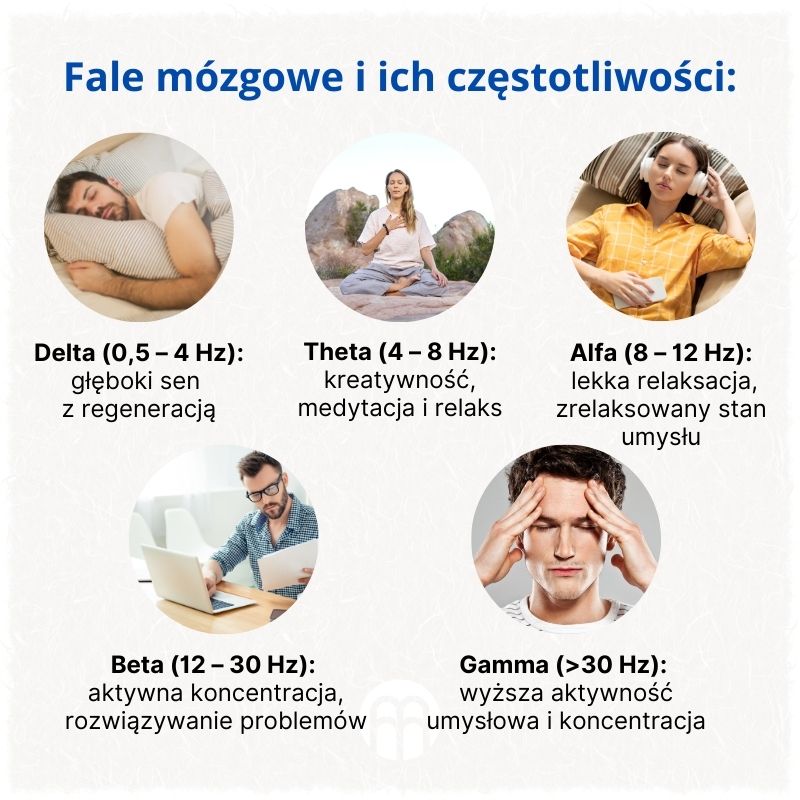 (Polština) Mozkové vlny a jejich frekvence_1